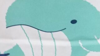 今日のアスパラガス